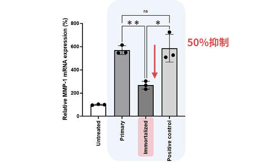 図：老化細胞のコラーゲン分解を50％抑制