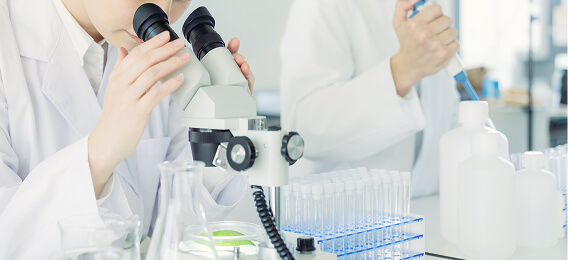 写真：完全国内製造